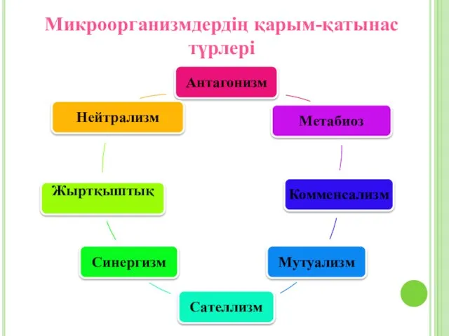 Микроорганизмдердің қарым-қатынас түрлері