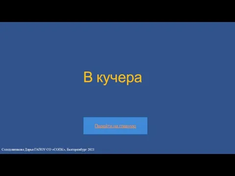 В кучера Солодовникова Дарья ГАПОУ СО «СОПК», Екатеринбург 2021