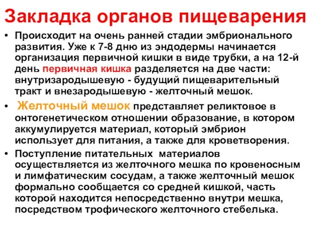 Закладка органов пищеварения Происходит на очень ранней стадии эмбрионального развития.