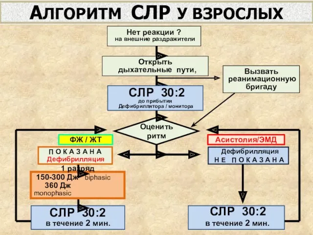 АЛГОРИТМ СЛР У ВЗРОСЛЫХ Нет реакции ? на внешние раздражители