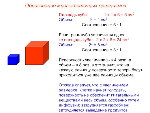 Площадь куба: 1 х 1 х 6 = 6 см2