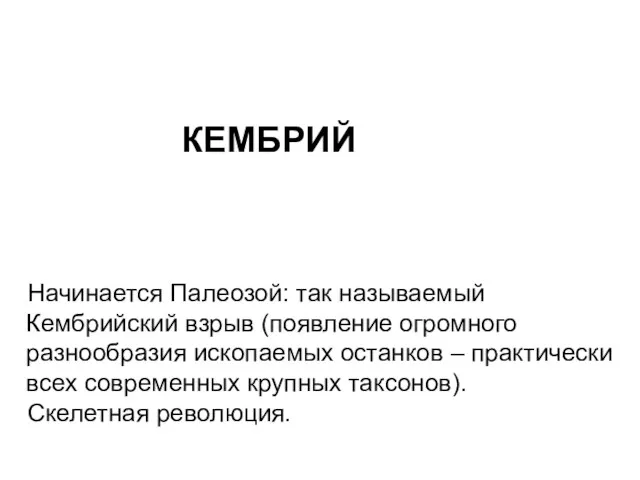 КЕМБРИЙ Начинается Палеозой: так называемый Кембрийский взрыв (появление огромного разнообразия