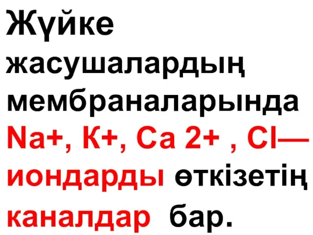 Жүйке жасушалардың мембраналарында Na+, К+, Са 2+ , Cl— иондарды өткізетің каналдар бар.