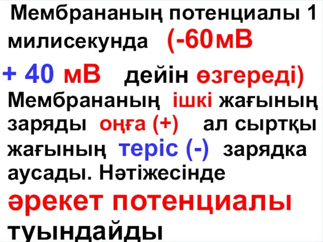 Мембрананың потенциалы 1 милисекунда (-60мВ + 40 мВ дейін өзгереді) Мембрананың ішкі жағының