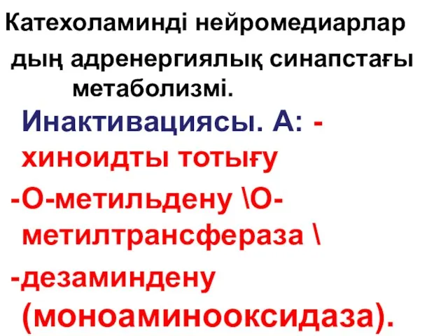 Катехоламинді нейромедиарлар дың адренергиялық синапстағы метаболизмі. Инактивациясы. А: -хиноидты тотығу О-метильдену \О-метилтрансфераза \ дезаминдену (моноаминооксидаза).