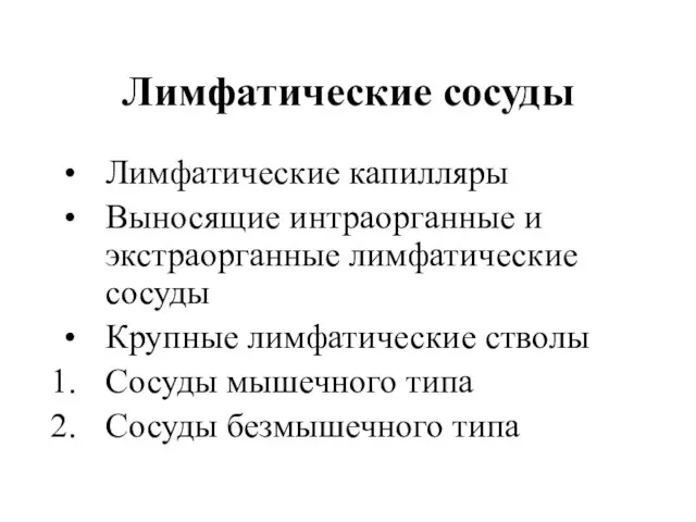 Лимфатические сосуды Лимфатические капилляры Выносящие интраорганные и экстраорганные лимфатические сосуды