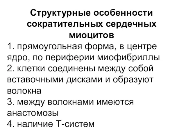 Структурные особенности сократительных сердечных миоцитов 1. прямоугольная форма, в центре