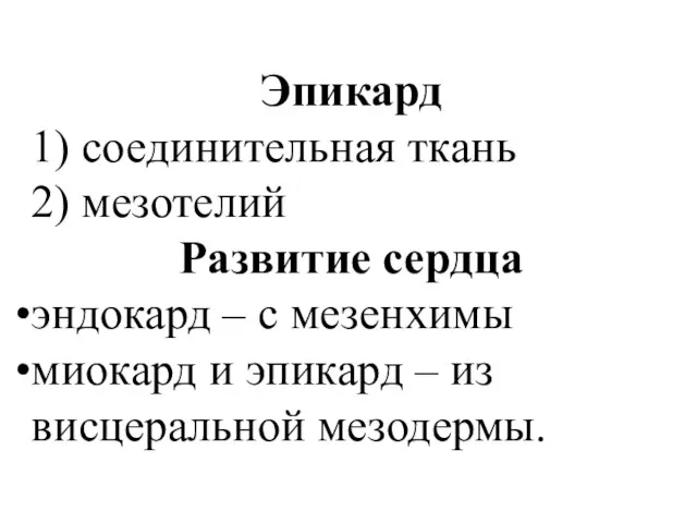 Эпикард 1) соединительная ткань 2) мезотелий Развитие сердца эндокард –