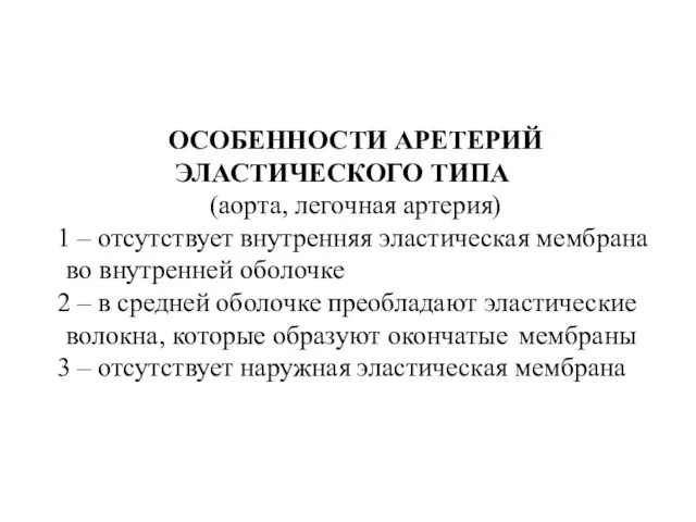 ОСОБЕННОСТИ АРЕТЕРИЙ ЭЛАСТИЧЕСКОГО ТИПА (аорта, легочная артерия) 1 – отсутствует