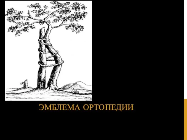 ЭМБЛЕМА ОРТОПЕДИИ