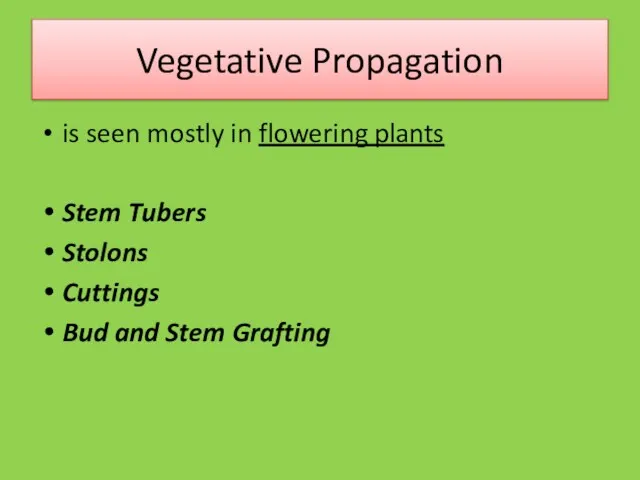 Vegetative Propagation is seen mostly in flowering plants Stem Tubers Stolons Cuttings Bud and Stem Grafting