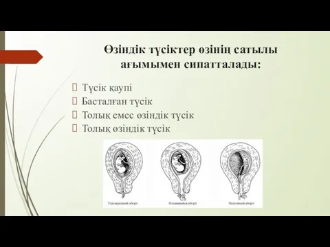 Өзіндік түсіктер өзінің сатылы ағымымен сипатталады: Түсік қаупі Басталған түсік Толық емес өзіндік