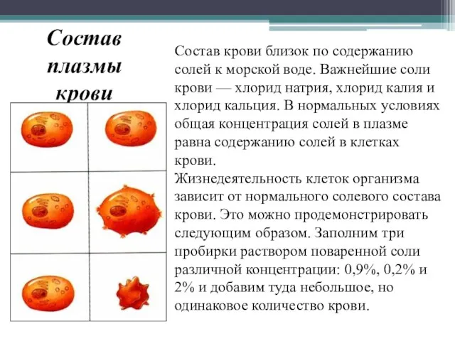 Состав плазмы крови Состав крови близок по содержанию солей к