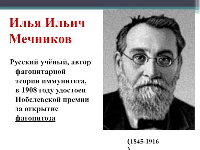 Илья Ильич Мечников Русский учёный, автор фагоцитарной теории иммунитета, в