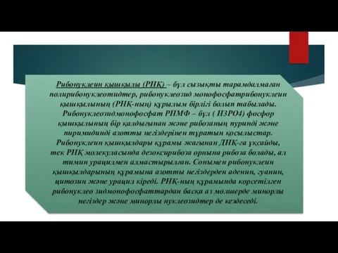 Рибонуклеин қышқылы (РНҚ) – бұл сызықты тарамдалмаған полирибонуклеотидтер, рибонуклеозид монофосфатрибонуклеин