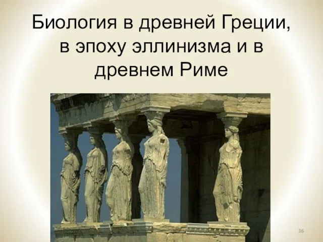 Биология в древней Греции, в эпоху эллинизма и в древнем Риме Кратасюк В.А., История биологии, 2014