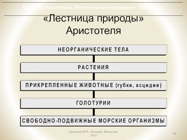 «Лестница природы» Аристотеля Кратасюк В.А., История биологии, 2014