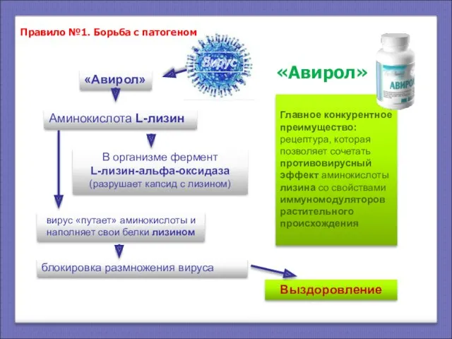 «Авирол» В организме фермент L-лизин-альфа-оксидаза (разрушает капсид с лизином) Выздоровление