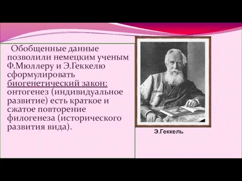 Обобщенные данные позволили немецким ученым Ф.Мюллеру и Э.Геккелю сформулировать биогенетический