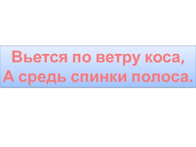 Вьется по ветру коса, А средь спинки полоса.