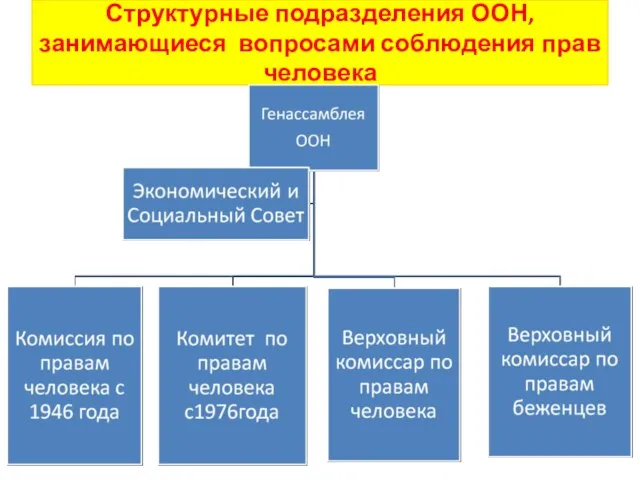 Структурные подразделения ООН, занимающиеся вопросами соблюдения прав человека