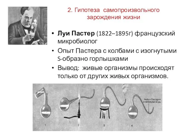 Луи Пастер (1822–1895г) французский микробиолог Опыт Пастера с колбами с изогнутыми S-образно горлышками