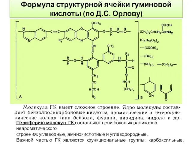 Формула структурной ячейки гуминовой кислоты (по Д.С. Орлову) Периферию молекул