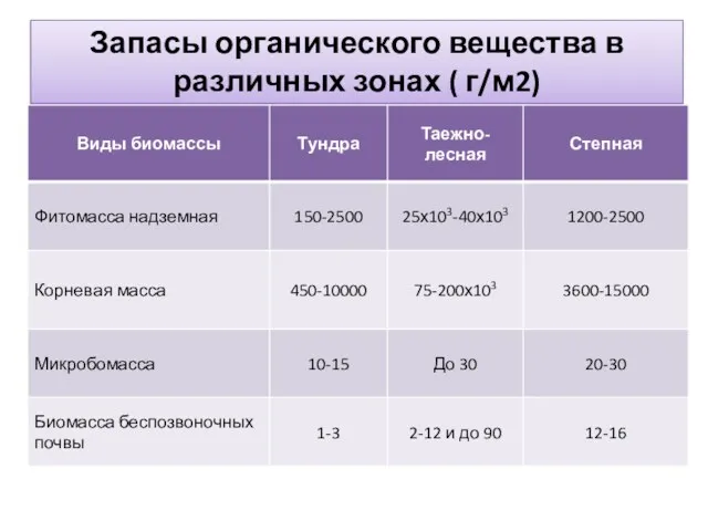 Запасы органического вещества в различных зонах ( г/м2)