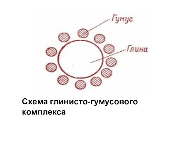 Рис. 11. Схема глинисто-гумусового комплекса Схема глинисто-гумусового комплекса