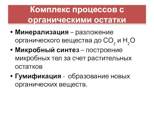 Комплекс процессов с органическими остатки Минерализация – разложение органического вещества