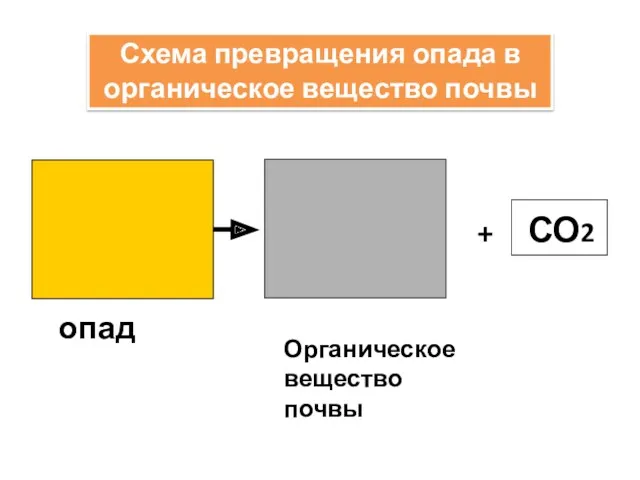 + опад Органическое вещество почвы СО2 Схема превращения опада в органическое вещество почвы