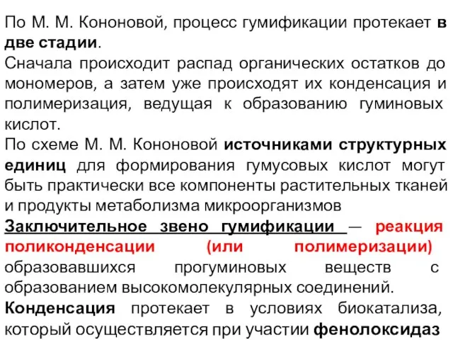 По М. М. Кононовой, процесс гумификации протекает в две стадии.