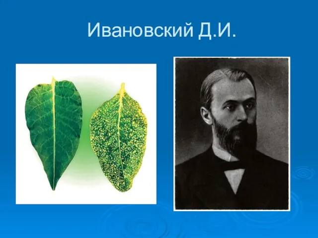 Ивановский Д.И.