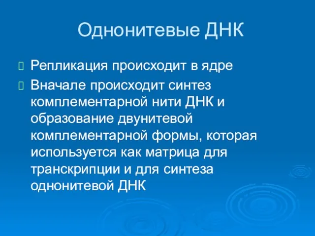 Однонитевые ДНК Репликация происходит в ядре Вначале происходит синтез комплементарной нити ДНК и