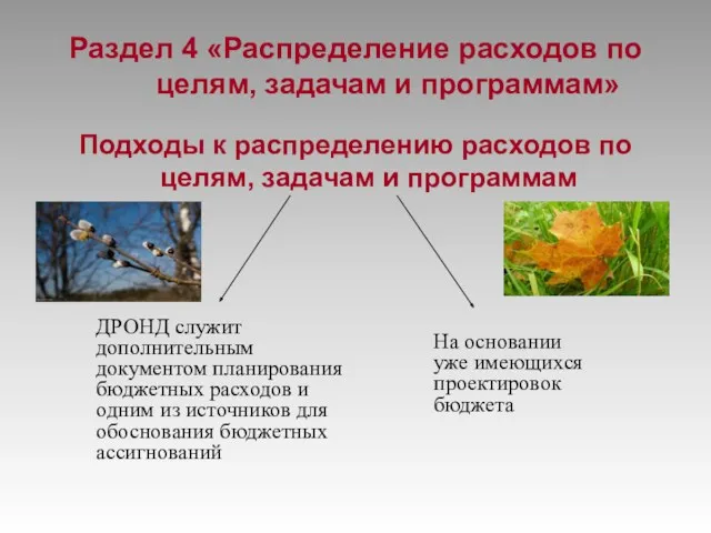 Раздел 4 «Распределение расходов по целям, задачам и программам» Подходы