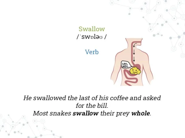 Swallow /ˈswɒləʊ / Verb He swallowed the last of his