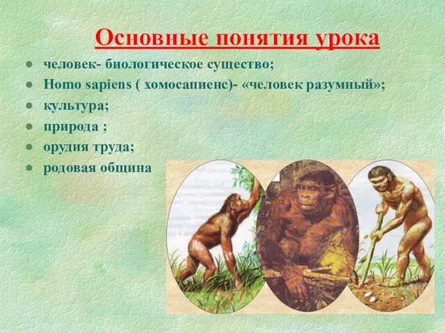 Основные понятия урока человек- биологическое существо; Homo sapiens ( хомосапиенс)- «человек разумный»; культура;