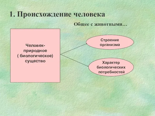 1. Происхождение человека Общее с животными… Человек- природное ( биологическое) существо Строение организма Характер биологических потребностей