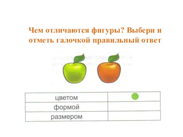 Чем отличаются фигуры? Выбери и отметь галочкой правильный ответ