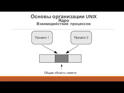 Основы организации UNIX Ядро Взаимодействие процессов