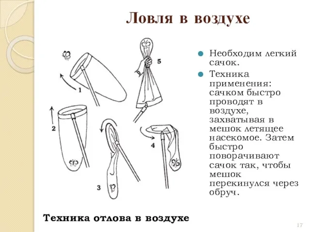 Ловля в воздухе Необходим легкий сачок. Техника применения: сачком быстро