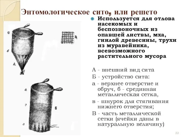 Энтомологическое сито, или решето Используется для отлова насекомых и беспозвоночных