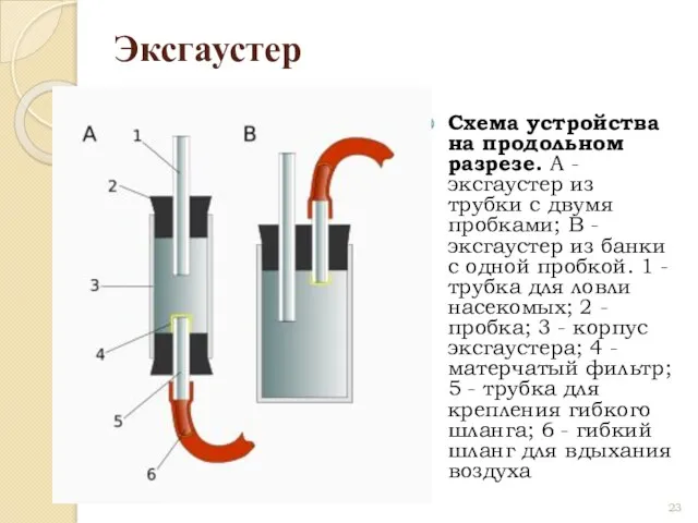 Эксгаустер Схема устройства на продольном разрезе. A - эксгаустер из