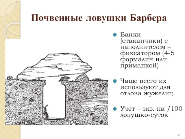 Почвенные ловушки Барбера Банки (стаканчики) с наполнителем – фиксатором (4-5