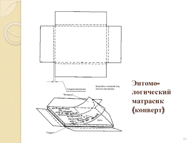 Энтомо-логический матрасик (конверт)