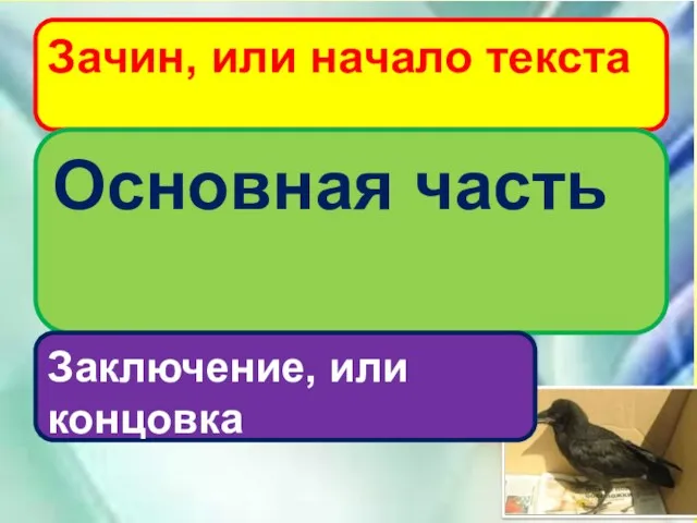 Миша нашёл под деревом грачонка. Грачонок был чёрный, носатый. Он