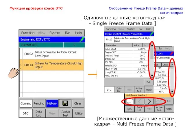 Функция проверки кодов DTC Отображение Freeze Frame Data – данных «стоп-кадра» [Множественные данные