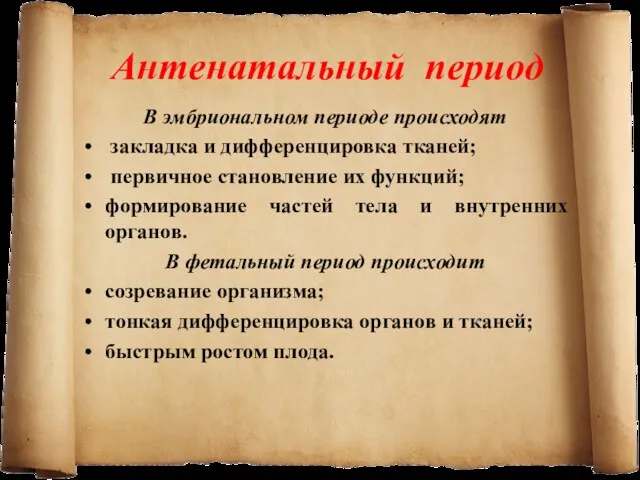 Антенатальный период В эмбриональном периоде происходят закладка и дифференцировка тканей;