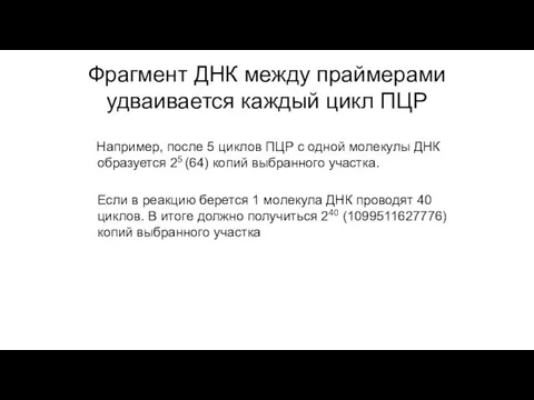 Фрагмент ДНК между праймерами удваивается каждый цикл ПЦР Например, после 5 циклов ПЦР