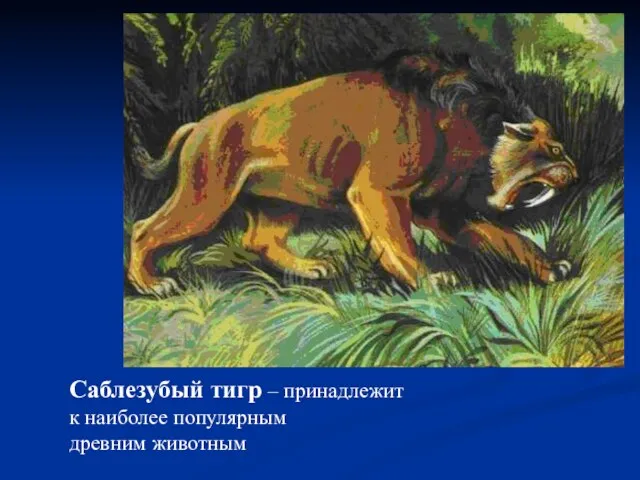 Саблезубый тигр – принадлежит к наиболее популярным древним животным
